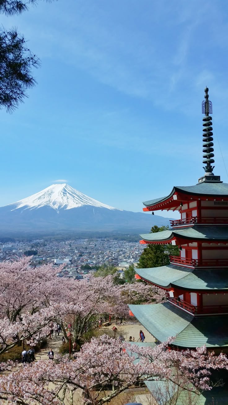 Insider's Guide to Japan